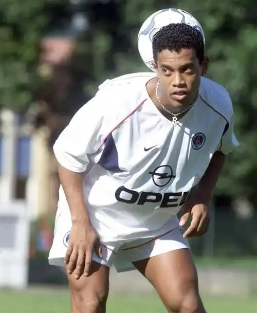 导才能的体 导才能的体