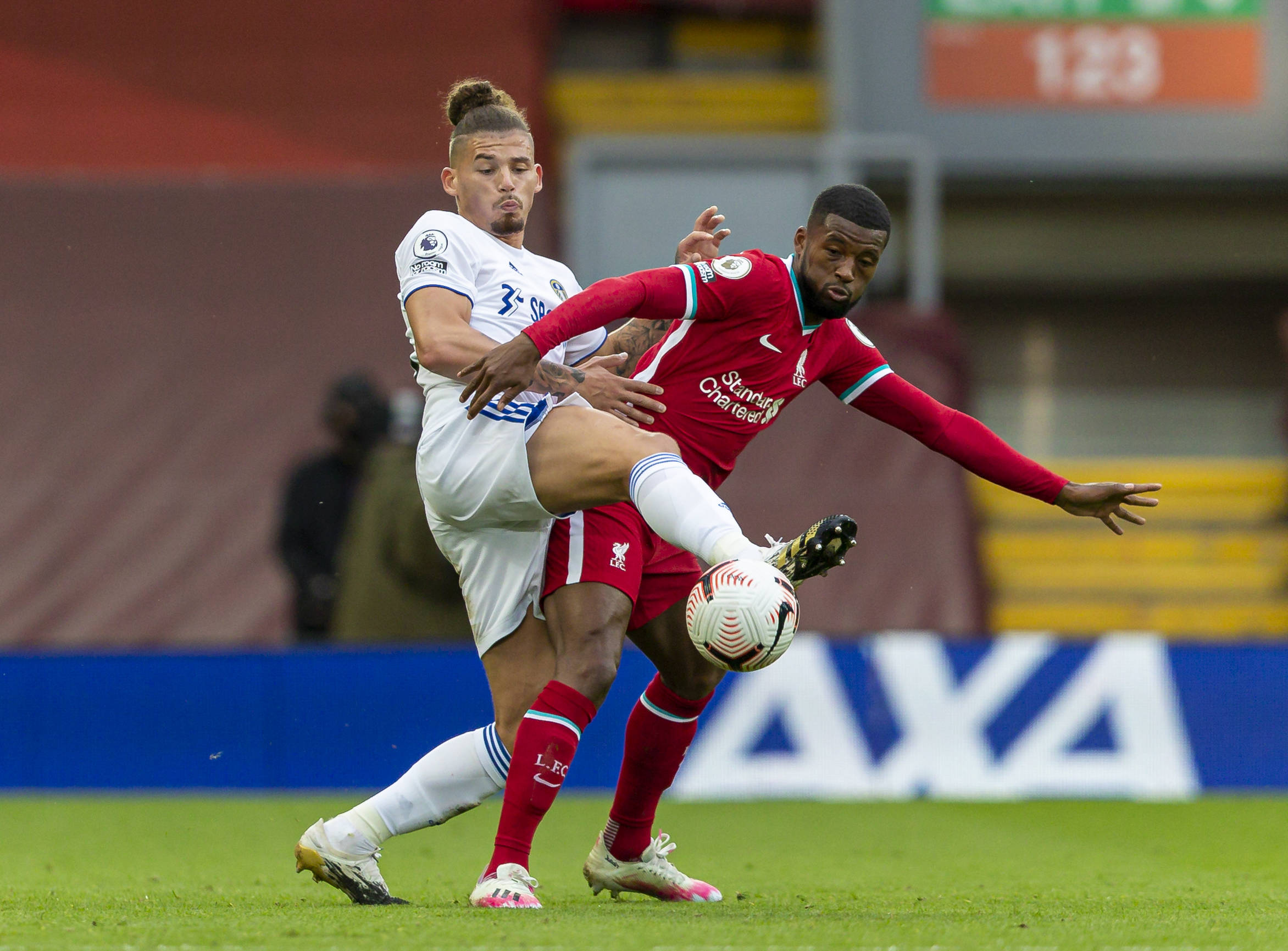 会市场掀起 会市场掀起